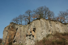 18.03.2009 - Ehemaliger Steinbruch auf dem Stenzelberg, von der Vegetation zurückerobert  / Klick vergrößert Bild