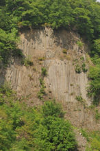 08.05.2009 - Diese typischen sechseckigen Basaltsäulen am Weilberg entstanden durch langsam abkühlende Lava. / Klick vergrößert Bild