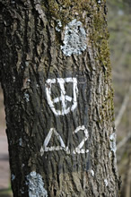 foto vom 24.04.2010 - Wanderweg-Symbole: "Rund um Ennepetal" und A2 / klick vergrössert bild