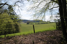 foto vom 25.04.2010 - Landschaft bei Ennepetal / klick vergrössert bild